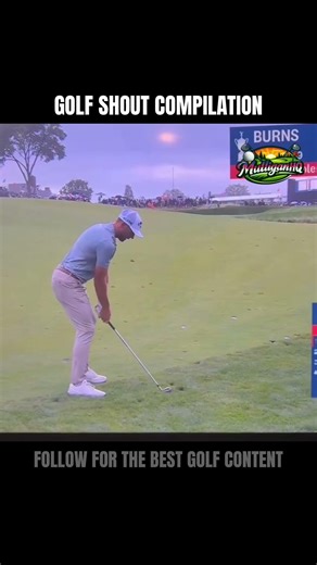 Which are the best and which did I miss? 😂⛳️ #golf #golfmeme #golfhumor