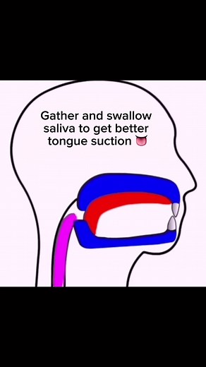 When people learn about oral cavity suction & “mewing” they typically struggle to build up suction through the posterior portion of the tongue Try this swallowing drill to get better feedback through the back 1/3 of the tongue Suction not only supports the jaws and palate but also the nasal cavities, esophagus, & trachea for a more open airway When our tongue is competent, we retain better saliva production & stabilize through the neck and skull more effectively Proper tongue suction will also i