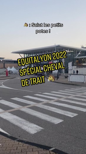 Equitalyon 2022 : Célébration du Cheval de Trait 🐴