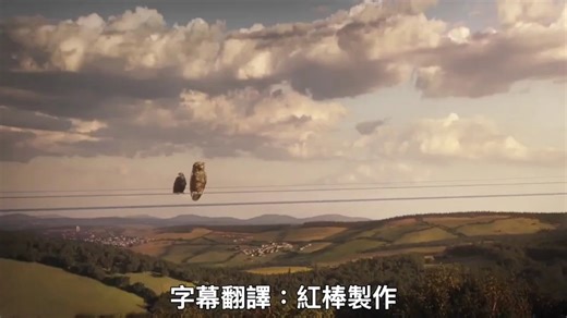 精彩堪比电影大片！2020年热门创意广告精选合辑！