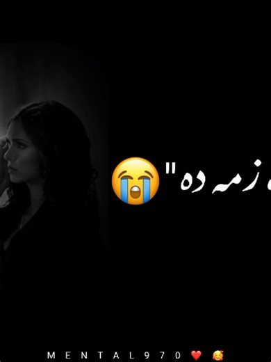 Discover the Heartwarming Pashto Song Celebrating Love