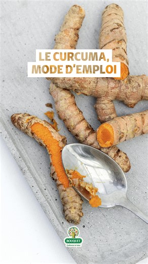 Bouquet - Cultivons le Futur on Instagram: "On vous met à la page ! 🫚 Grâce à ce mode d’emploi, le curcuma Bouquet n’a plus de secrets pour vous ! Suivez les instructions pour le cuisiner comme un chef ! ASTUCE CURCUMA FRAIS Comment consommer le curcuma frais ? Le nettoyer soigneusement Le peler à l’aide d’une cuillère L’utiliser râpé, en tranches ou mixé directement dans vos préparations du quotidien Bouillon simple au curcuma Idéal pour réchauffer et stimuler Ingrédients : 1 morceau de curcum