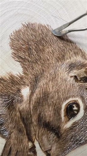 The logical process uses a small intestinal apparatus that can transmit heat