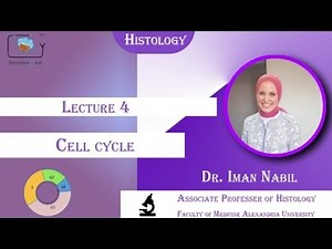Histology: cell cycle (Dr.Iman Nabil)