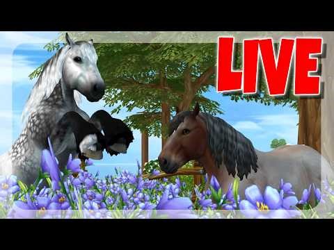 ICH KAUFE DEN NEUEN BRABANTER - BRABANTER PFERDEKAUF 🐴 WARTESTREAM SERVER 5 | Star Stable [SSO]
