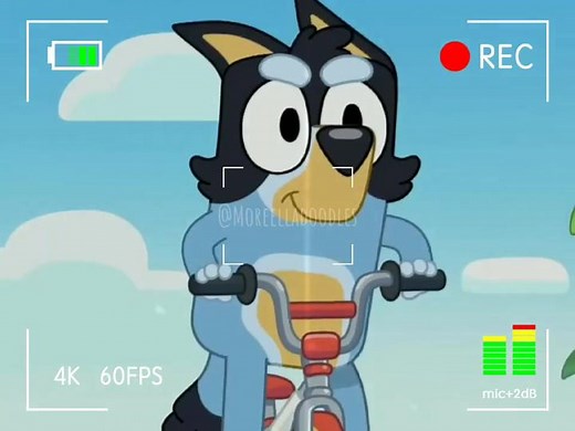 Bluey and Bingo Grown Up: Heartwarming Siblings Story