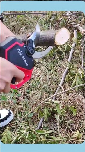 Tree Branch Cutting Shears #gardening #tools