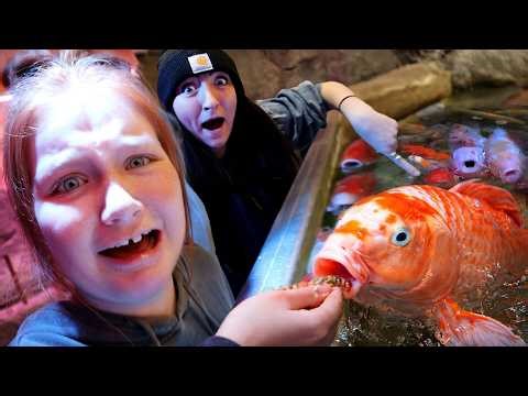 Feeding 10 CRAZY ANiMALS with ADLEY!! Swimming inside a real Shark Aquarium with my Family, Zoo Fun