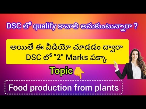 Food Production from Plants | Class 8 Science | Everything and More | TET & DSC Exam Preparation