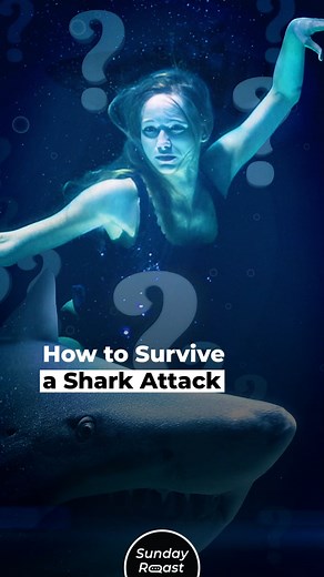 51K views · 338 reactions | How to Survive a Shark Attack | Sunday Roast | Facebook
