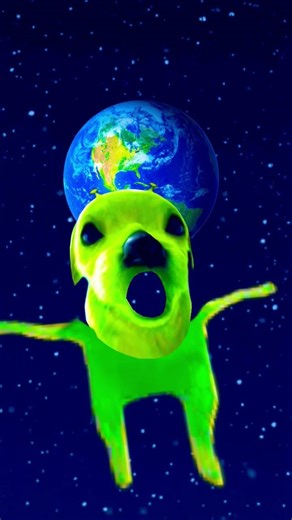 funny video / alien dog effect