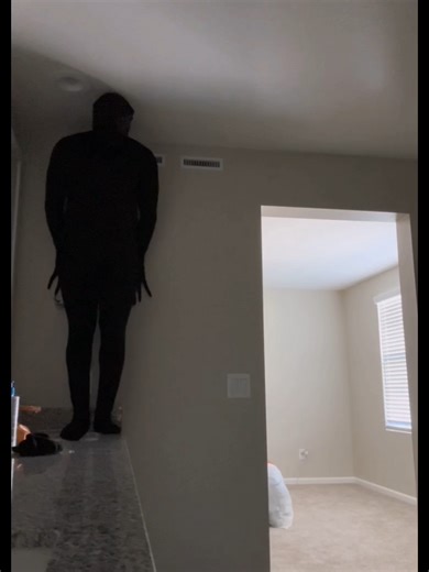 Funny Snake Prank Videos That Will Make You Jump