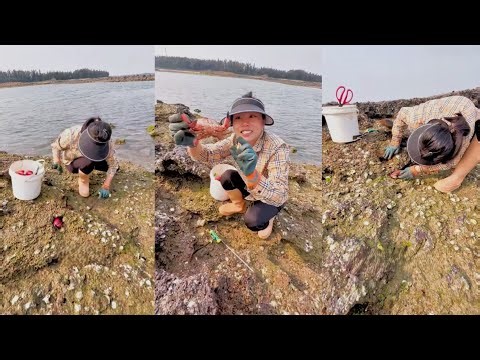 Digging holes to catch fish 🦀 Crab bread #crab #fishing #catching #hunting