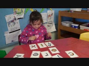 Zoo-phonics... A synthetic phonics program