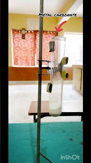 #cricket #neet #cbse #chemistry #science #experiment #shorts 🔥