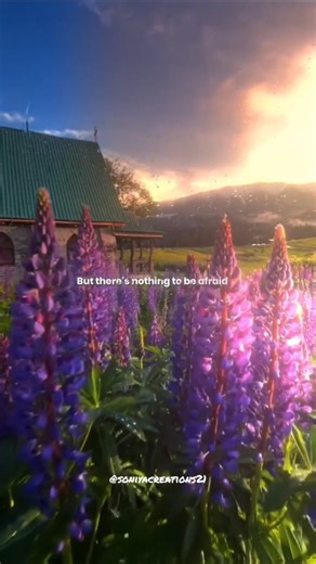 Just how fast the night changes 💫❤️#onedirection #nightchangeslyrics #love #edit #songlyrics #