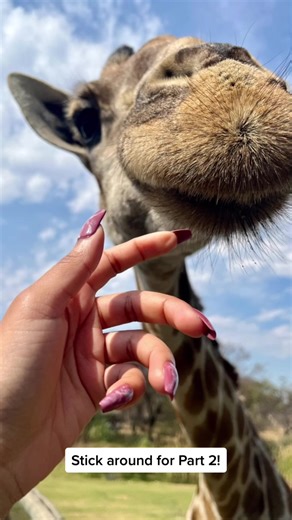 Exciting Activities in Hartbeespoort, South Africa