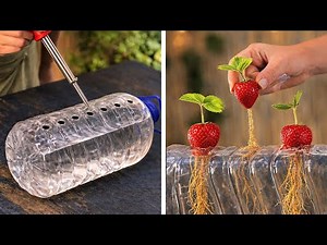Genius Garden Hacks You NEED: Planting Ideas and Plastic Bottle Crafts for Plants