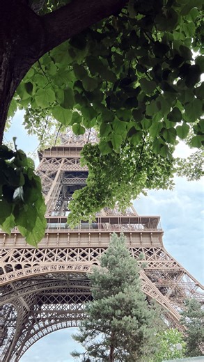 POV: You just found out your 50K Amex points could be worth THOUSANDS, not $500. 🤯 I'm going to be honest with you, most families are leaving thousands of dollars on the table because they don't know about transfer partners or when and how to transfer for the best deals. Here's what's happening right now through October 31st: Amex has a 20% transfer bonus to Flying Blue (Air France/KLM). That means your 50K points become 60K miles, which can get you business class to Europe. Let's break down th