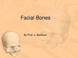 Facial Bones - SlideServe