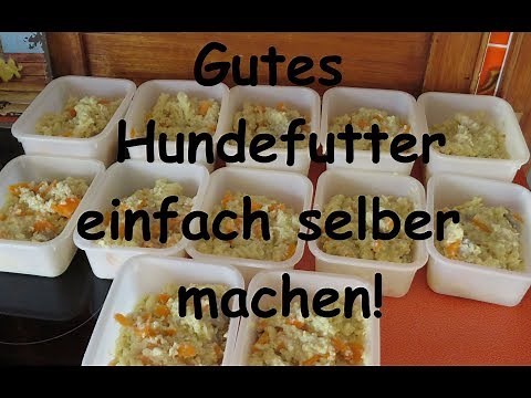 Gutes Hundefutter einfach selber machen