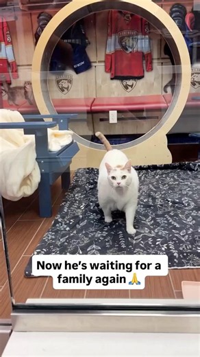 After everything he’s been through and still so much love to give 🥹 Learn about Spanky in comments