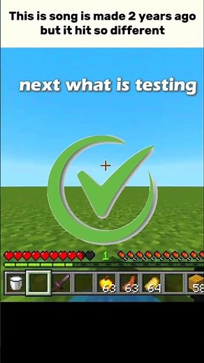 minecraft real vs fake block test 😍