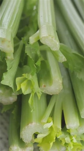 Eat Celery & THIS Happens to Your Gut