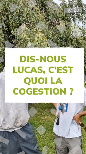 1.5K views · 27 reactions | « Ensemble on est mieux ! » 朗 Ce titre de chanson bien connue des scout·es résume tout !  Chez Les Scouts, on vit ensemble, on apprend ensemble, on grandit ensemble, et bien sûr on CONSTRUIT et on GÈRE ensemble ! 欄⚜️ C’est ce qu’on appelle la cogestion et la co-construction. Explication et illustrations en images. #Cogestion #LesScouts | Les Scouts | Facebook