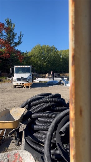 I wanted to make a video, but he's busy doing other, VERY important things. I'll try again tomorrow. | Pro-Core Foundations