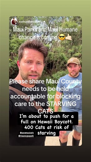 There are currently at least 300-350 cats we cannot access due to Maui County and the Parks department denying us access to them. Some of the others the caregivers can get to with out recieving citations. I was issued a promise to appear tonight for trying to do the good work and provide care. There are cats stranded in areas that are flooded we cannot check on. Maui County and the Parks department should be ashamed of themselves. Some of these cats have not eaten in a few days. Something needs 
