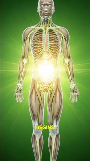 What Lime Does Inside Your Body in 40 Seconds|Amazing Benefits Explained #facts #shortvideo #shorts