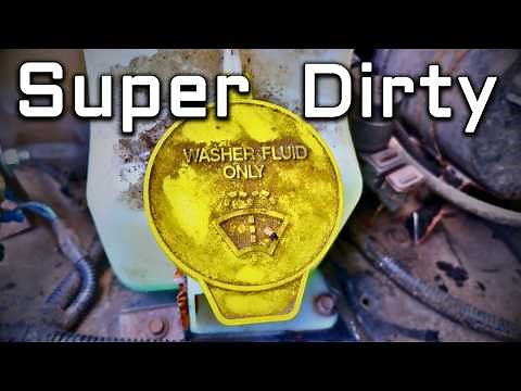 How To Detail Your Engine Bay LIKE A PRO