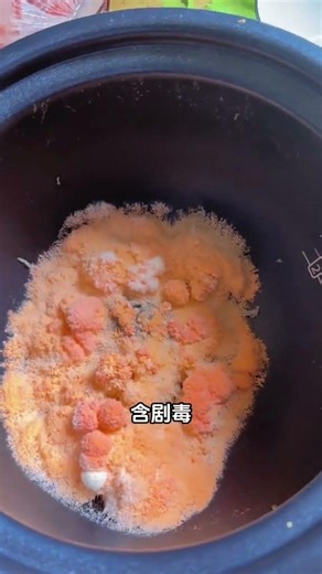 Is This Mold Toxic! #ScienceEducation #Mold #YouthCreatorGrowthPlan