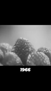 24K views · 1.3K reactions | Introducing Cool Whip | Historical Pictures | Facebook