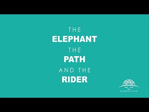 The Elephant, the Path and the Rider