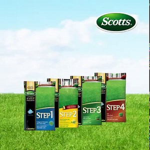 168 reactions · 30 shares | Ace Rewards members save up to $50 off Scotts 4-Step Programs! | Ace Hardware | Facebook