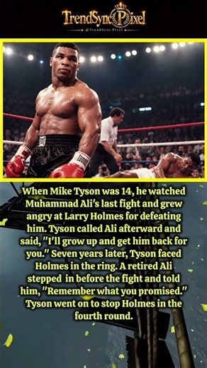 Tyson kept his promise to Ali and stopped Holmes in the fourth round