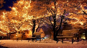 Trees, Park, Bench. Free Stock Video