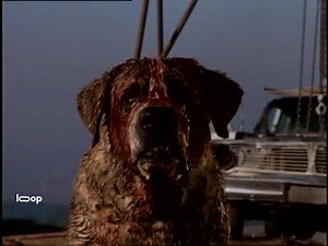 Cujo (1983) - Horror - Thriller - Movie Trailer