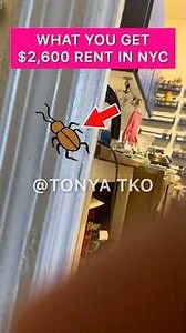 This What $2,600 Rents You in NYC Washington Heights. Roach Infestation