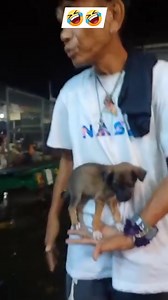 1.4M views · 30K reactions | Angas Ng breed Ng aso tiger commando.. | Manster Pappy Vlog | Facebook