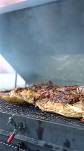 6K views · 195 reactions | The sight of a whole hog cooking in the pit. Ain’t nothing prettier. | Rodney Scott's BBQ | Facebook