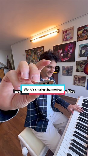 Rating the World's Smallest Harmonica Sound