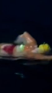 It was the swim of a lifetime! | News.com.au