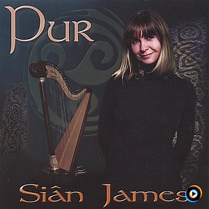 Hiraeth Am Feirion by Siân James