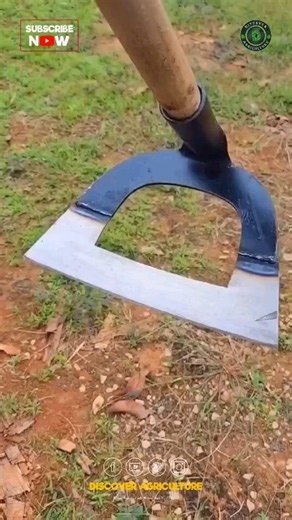 Tired of battling stubborn weeds in your garden? Say goodbye to sore hands with our top-notch weed removing tool! This innovative gadget makes it a breeze to eliminate unwanted plants without the hassle. Its ergonomic design ensures maximum comfort and efficiency, allowing you to keep your outdoor space looking pristine with minimal effort. Invest in this essential tool today and make weeding a thing of the past! Your back and garden will thank you. #gardeningessentials #weedingtools #WeedContro