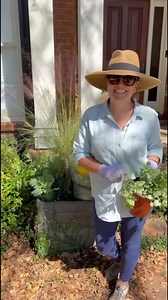 My go-to fall mix container! 💚 I love combining different sizes and textures. Gallon material, hanging baskets, 3-gallon grasses, perennials, and trailing pansies... to create a container that’s beautiful and long-lasting. This mix of peacock kale, rosemary, holly fern, and pansies will carry you all through fall and winter. 🌿✨ Want to shop my favorite containers my go-to garden hat for fall planting? 🌟 Comment FALL below and I’ll send you the links! #FallContainerGarden #PorchDecorIdeas #Car