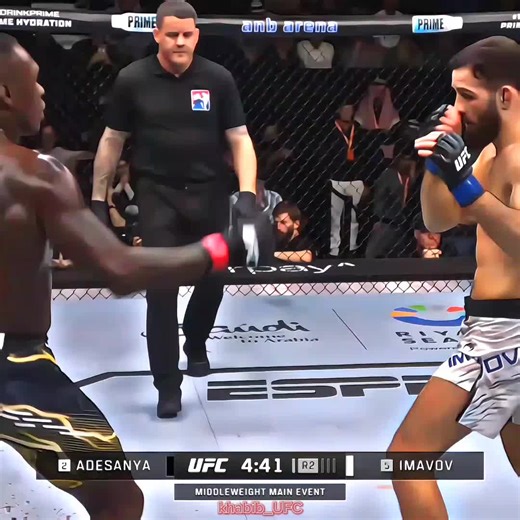 Epic Knockout Moments in UFC History