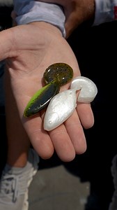 The newest take on Soft Body Toads . . . The Rage Shad💪 Watch as Bassmaster Opens Pro Kyle Austin Fishing breaks down the Strike King Rage Shad🔥 Have you thrown the Rage Shad? Let us know down in the comments below⬇️ #strikekinglurecompany #tieoneon | Strike King Lure Company